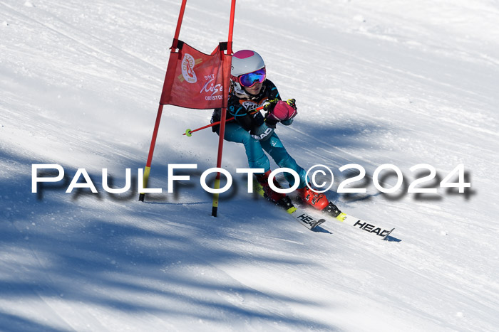 BSV-Ziener KidsCross Allgäu 1