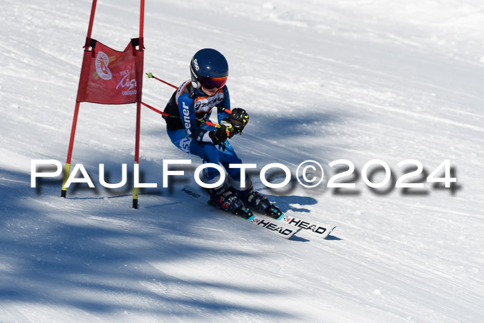 BSV-Ziener KidsCross Allgäu 1