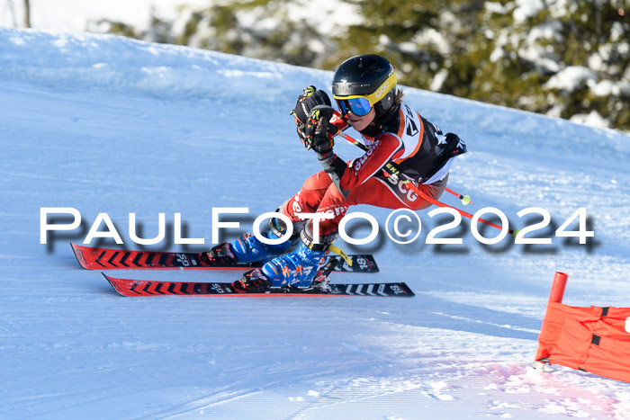BSV-Ziener KidsCross Allgäu 1
