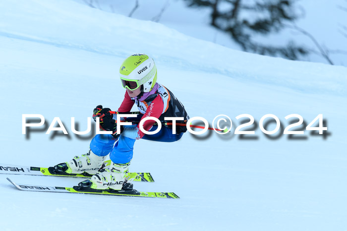 BSV-Ziener KidsCross Allgäu 1