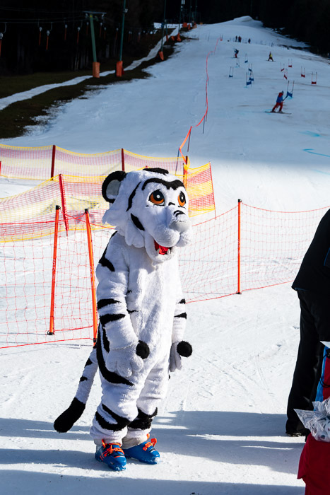 DSV Skitty Cup Tegelberg, 27.01.2024