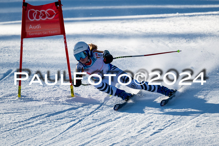 FIS SG Damen + Herren, Götschen, 30.01.2024