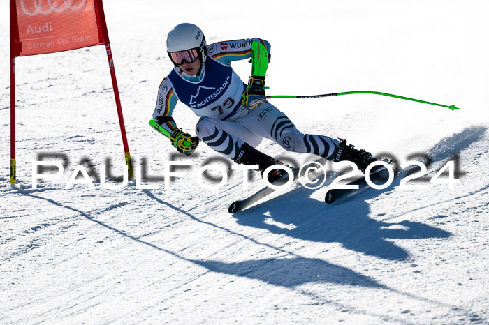 FIS SG Damen + Herren, Götschen, 30.01.2024
