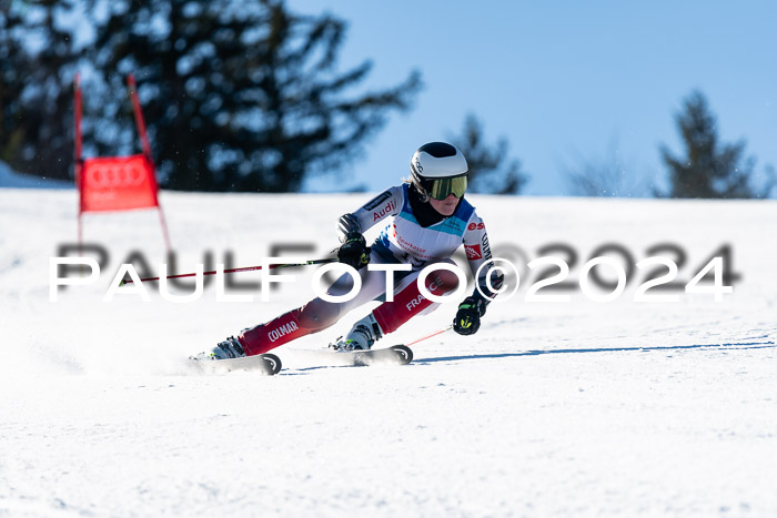 FIS SG Damen + Herren, Götschen, 30.01.2024