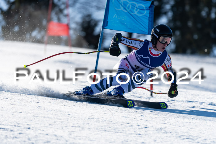 FIS SG Damen + Herren, Götschen, 30.01.2024
