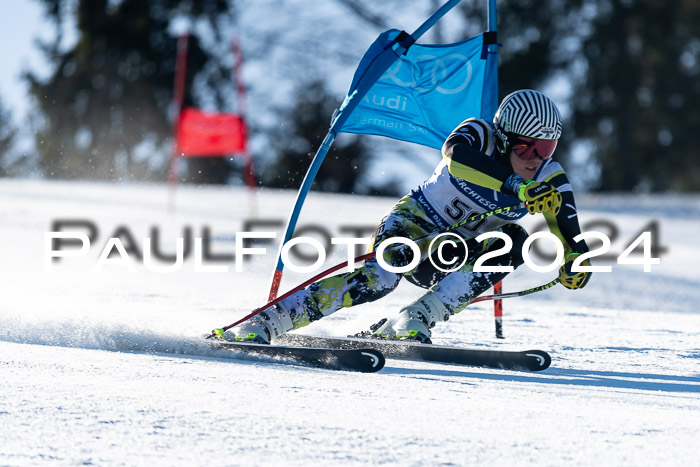 FIS SG Damen + Herren, Götschen, 30.01.2024