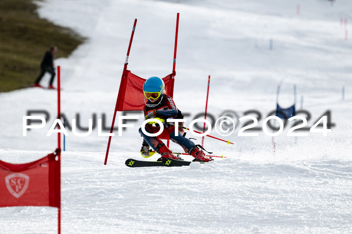 5. Ziener Cup WF VSL, 10.02.2024 JG 2012-2014