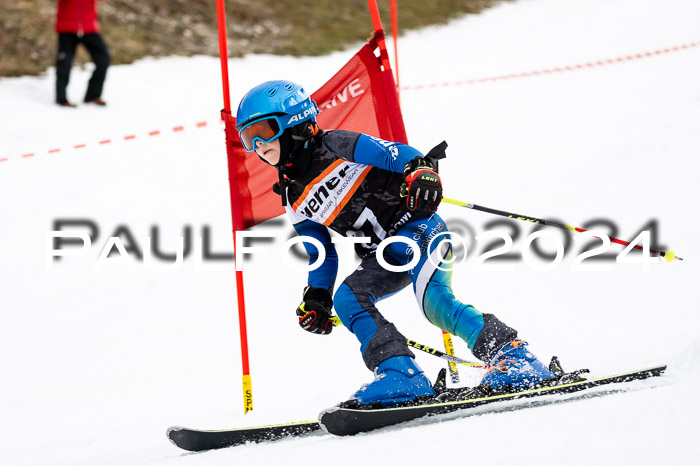4. Ziener Cup WF VSL, 10.02.2024 JG 2015-2016