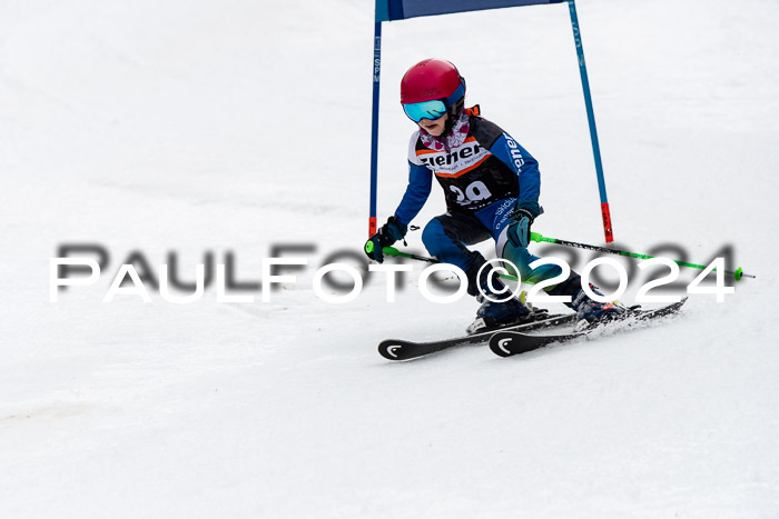 4. Ziener Cup WF VSL, 10.02.2024 JG 2015-2016