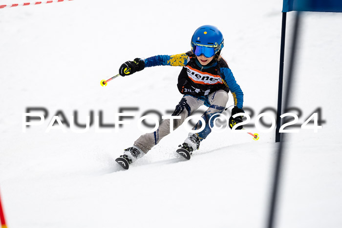 4. Ziener Cup WF VSL, 10.02.2024 JG 2015-2016