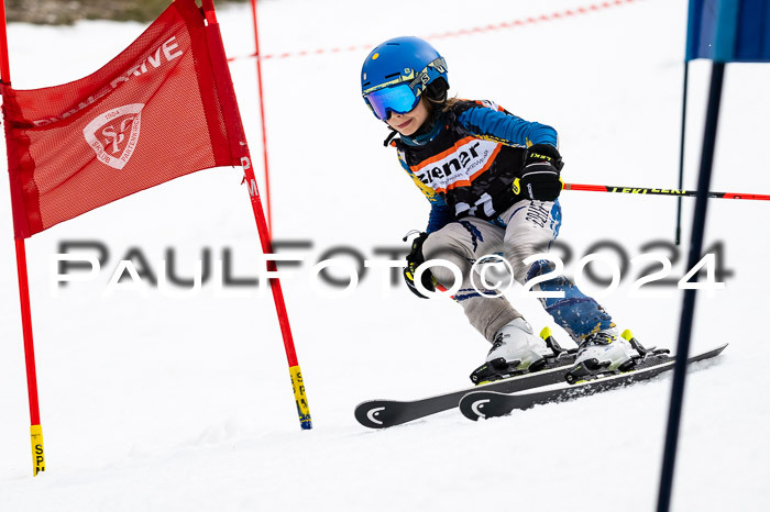 4. Ziener Cup WF VSL, 10.02.2024 JG 2015-2016
