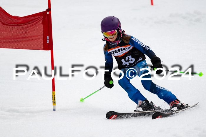 4. Ziener Cup WF VSL, 10.02.2024 JG 2015-2016