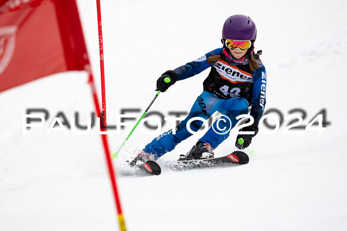 4. Ziener Cup WF VSL, 10.02.2024 JG 2015-2016