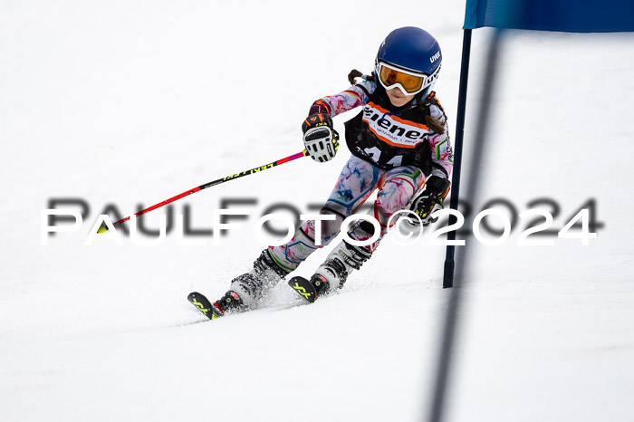 4. Ziener Cup WF VSL, 10.02.2024 JG 2015-2016