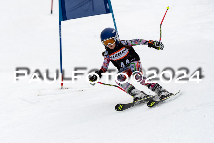 4. Ziener Cup WF VSL, 10.02.2024 JG 2015-2016