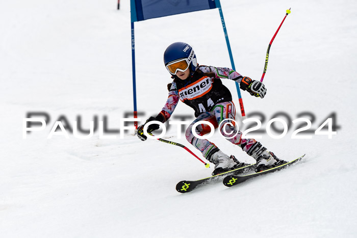 4. Ziener Cup WF VSL, 10.02.2024 JG 2015-2016