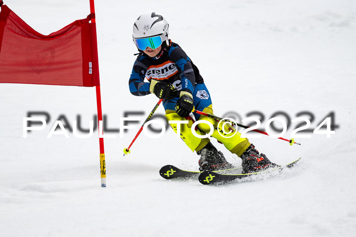 4. Ziener Cup WF VSL, 10.02.2024 JG 2015-2016