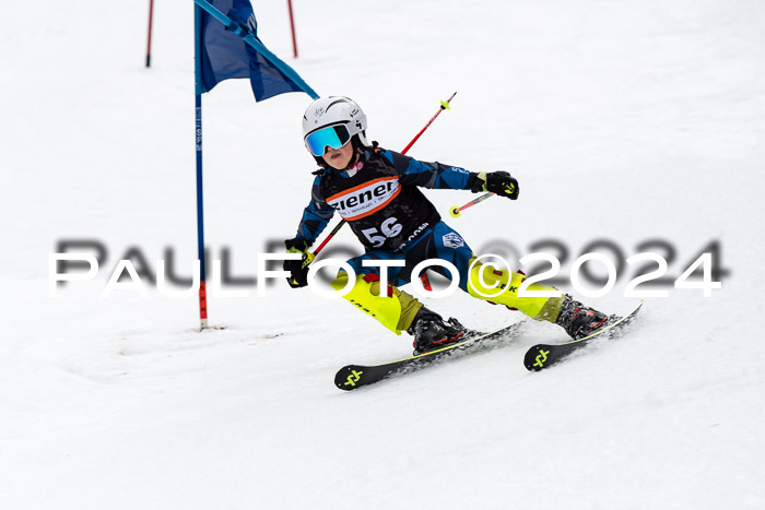 4. Ziener Cup WF VSL, 10.02.2024 JG 2015-2016