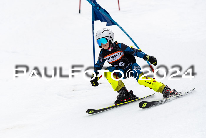 4. Ziener Cup WF VSL, 10.02.2024 JG 2015-2016