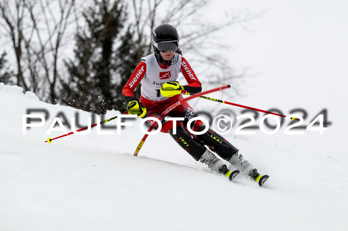 4. BZB CUP SL, 11.02.2024