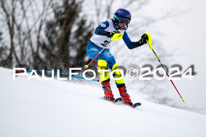 5. BZB CUP SL + Werdenfelser Meisterschaft, 14.02.2024