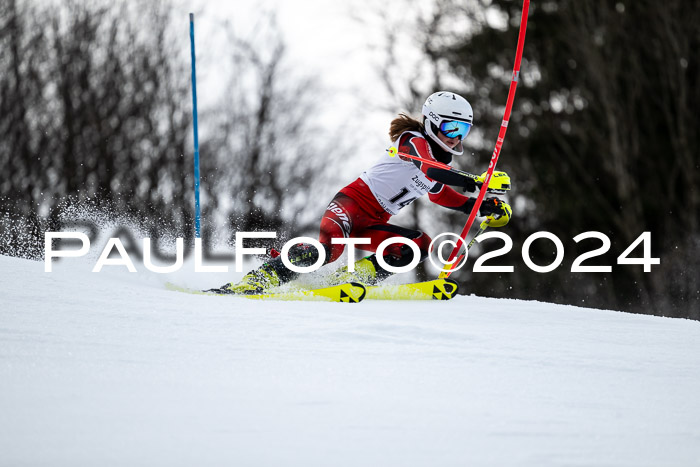 5. BZB CUP SL + Werdenfelser Meisterschaft, 14.02.2024