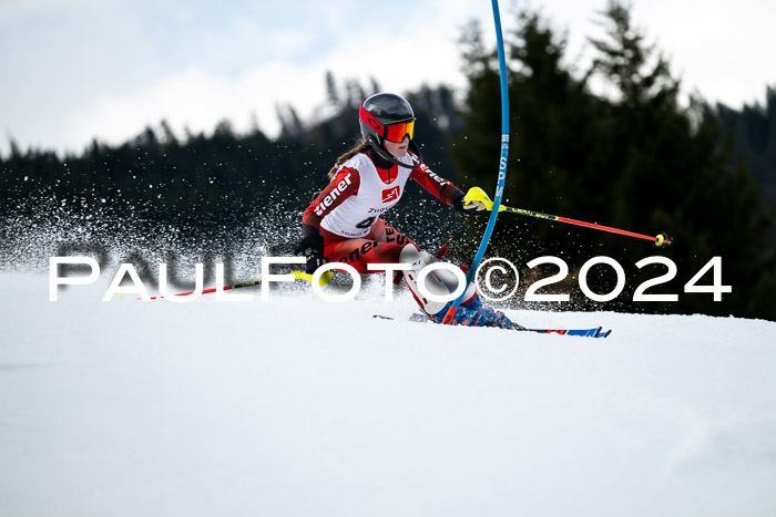 5. BZB CUP SL + Werdenfelser Meisterschaft, 14.02.2024