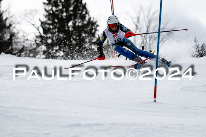 5. BZB CUP SL + Werdenfelser Meisterschaft, 14.02.2024