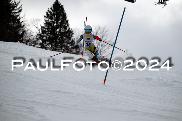 5. BZB CUP SL + Werdenfelser Meisterschaft, 14.02.2024