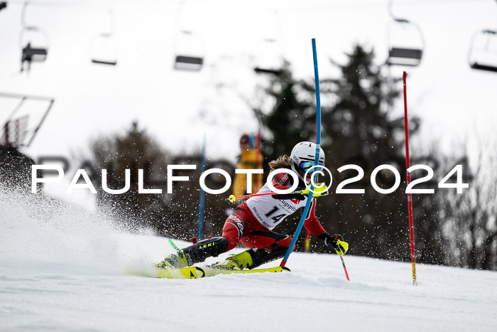 5. BZB CUP SL + Werdenfelser Meisterschaft, 14.02.2024