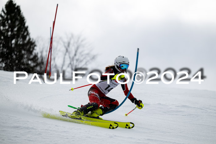 5. BZB CUP SL + Werdenfelser Meisterschaft, 14.02.2024