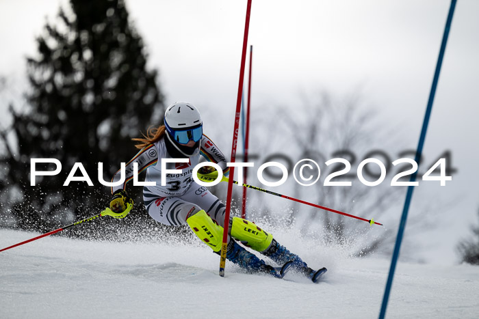 5. BZB CUP SL + Werdenfelser Meisterschaft, 14.02.2024