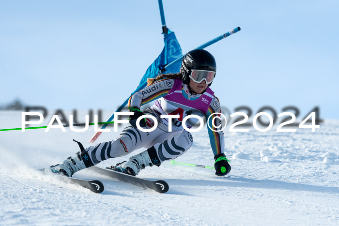 NJC  RS, Fügen 16.02.2024