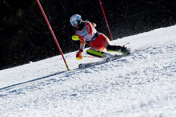 FIS + NJC Riesenslalom Damen + Herren 01.02.2020