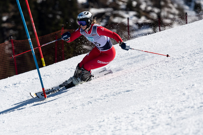 FIS + NJC Riesenslalom Damen + Herren 01.02.2020