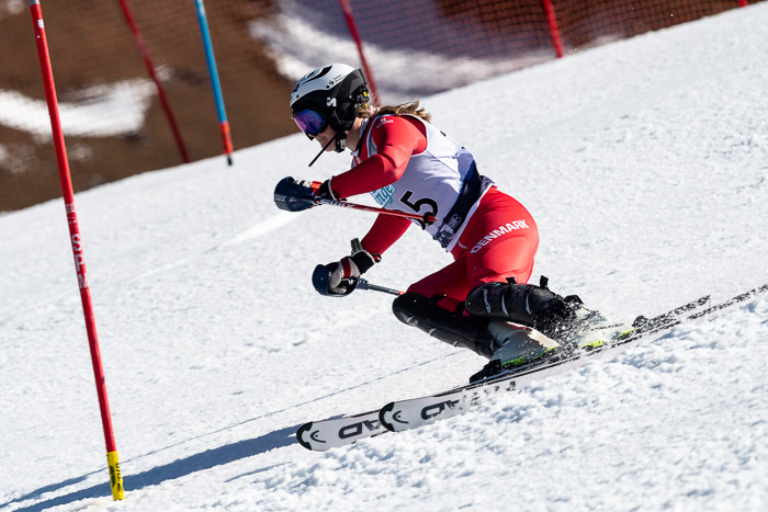 FIS + NJC Riesenslalom Damen + Herren 01.02.2020