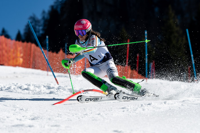 FIS + NJC Riesenslalom Damen + Herren 01.02.2020