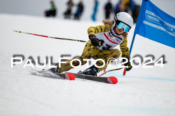 DSV - ELK Deutscher Schülercup U12 Finale RSX
