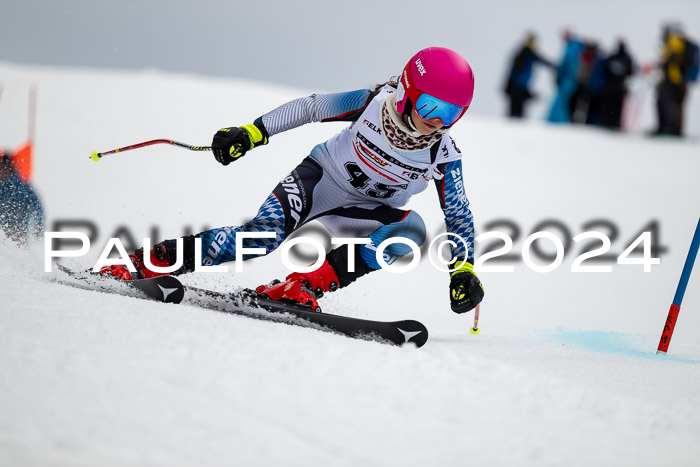 DSV - ELK Deutscher Schülercup U12 Finale RSX