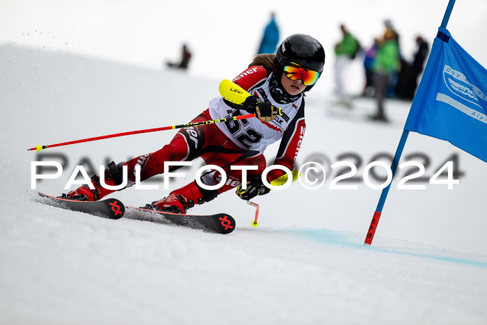 DSV - ELK Deutscher Schülercup U12 Finale RSX