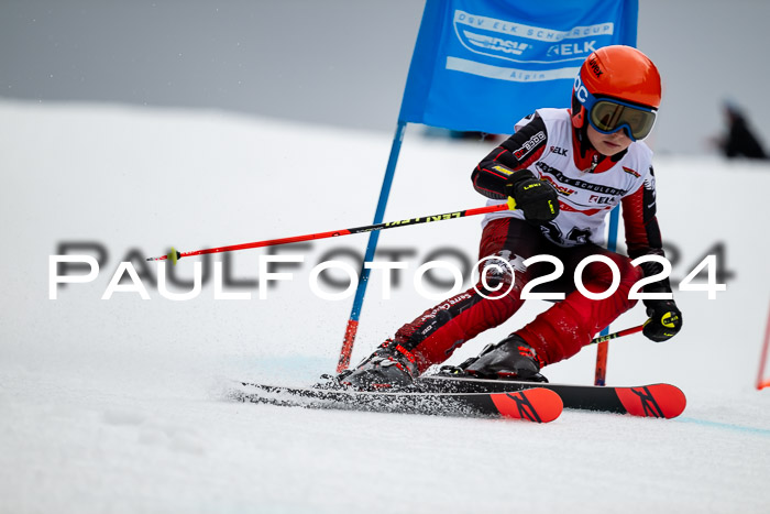 DSV - ELK Deutscher Schülercup U12 Finale RSX