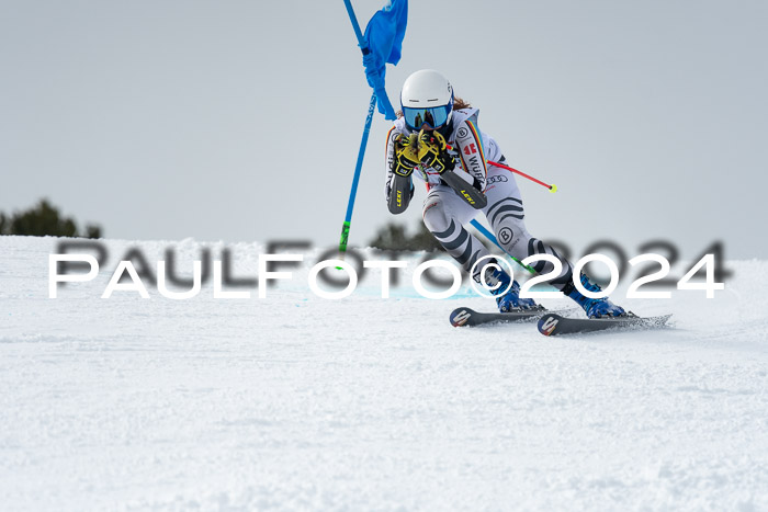 DSV - ELK Deutscher Schülercup U12 Finale RSX