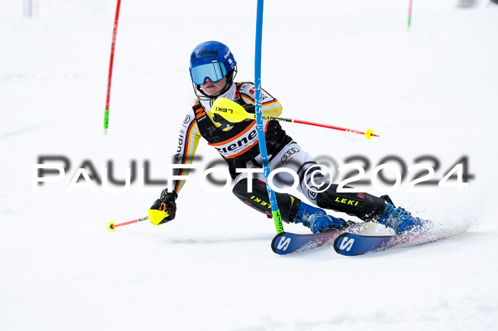 NC Slalom  Damen + Herren Axams, 23.03.2024