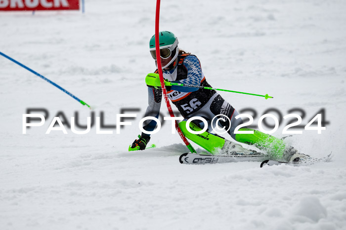 NC Slalom  Damen + Herren Axams, 23.03.2024