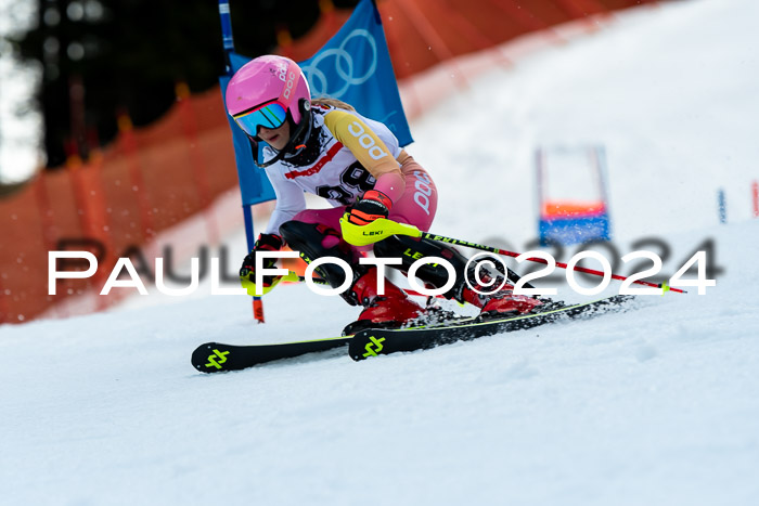 DSV - ELK Deutscher Schülercup U12 Finale SLX