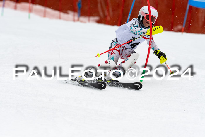 DSV - ELK Deutscher Schülercup U12 Finale SLX