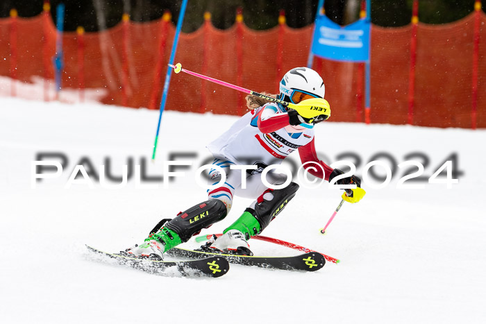 DSV - ELK Deutscher Schülercup U12 Finale SLX