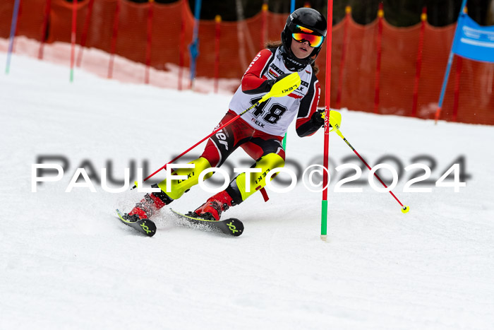 DSV - ELK Deutscher Schülercup U12 Finale SLX
