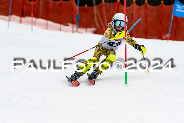 DSV - ELK Deutscher Schülercup U12 Finale SLX