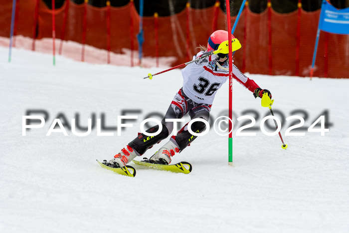 DSV - ELK Deutscher Schülercup U12 Finale SLX